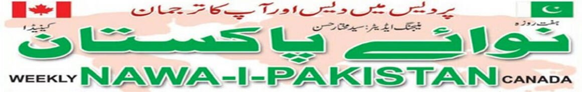 Nawaipakistan.com Logo